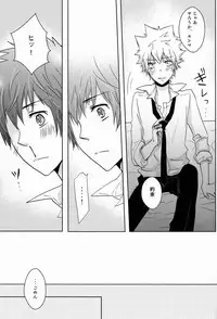 (C80) [Alpenreise (Ayano Ena)] Kiseki (Katekyo Hitman REBORN!)