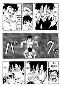DOUJIN 2000 - Dragonball H [English]