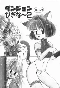 [DONKEY] Pokapoka Fantasy