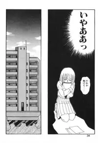 [Akifuji Satoshi] Four Seasons