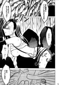 [Crimson (Carmine)] Kajitsu Soushuuhen (Final Fantasy VII)