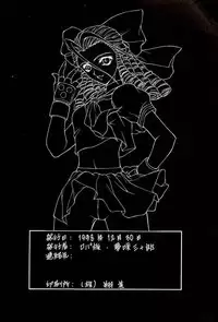 (C55) [Robazoku (Yumesaki Sanjuro)] HAPPY GO LUCKY 2 (Street Fighter, Darkstalkers)