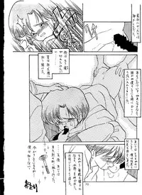 [T2 UNIT, RyuukiSya, Sakura ROC (Various)] LUNATIC ASYLUM (Sailor Moon)