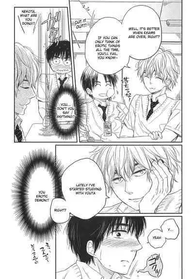 Mayou Inu, Sasou Neko