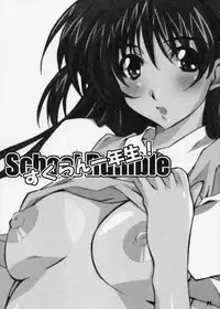 (C66) [Hacchakesou (PONPON)] SukuRan Ichinensei! (School Rumble)