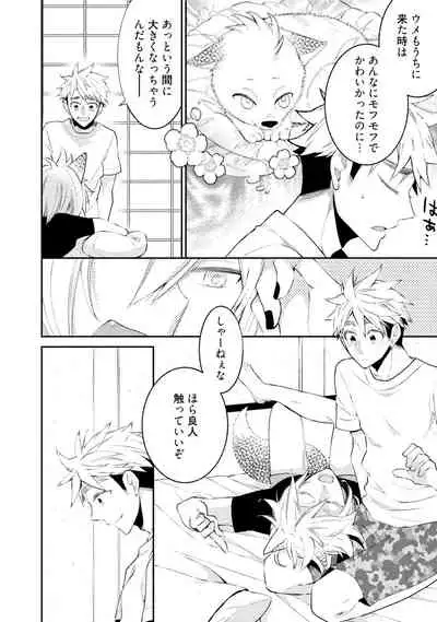 Wolves and Erotic Things