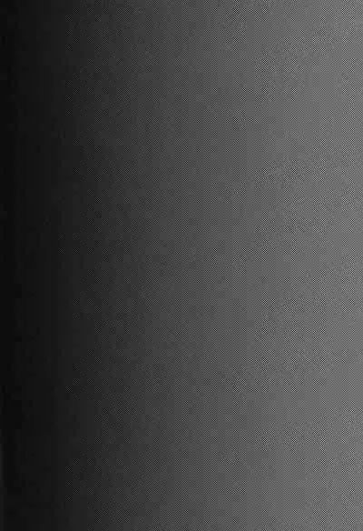 (C83) [Seki Sabato (Tsukuru)] Kazuma-kun to Asobou (Summer Wars) [Chinese] [逃亡者x新桥月白日语社汉化]