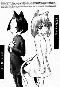 [Pazzo S.P.] Sheeps may safely graze 2