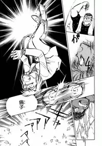 [Shibata Masahiro] Nano Sector