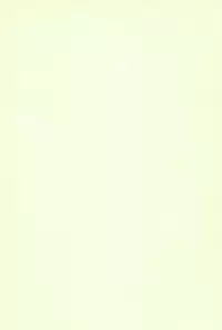 (C61) [Ashinoie (Taryl.)] Hinnyuu Musume 9 (Kasumin, Final Fantasy VIII)