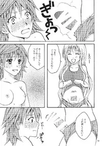 (C74) [Hyogetsu (Momonoki Fum)] Riko LOVE (To LOVE-Ru)