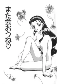 [Akifuji Satoshi] Four Seasons