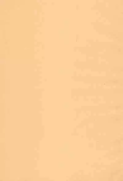 Yappa Asuka da yo naa