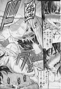 COMIC Shitsurakuten 2013-01