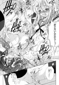 [Takane Nohana] Seientai