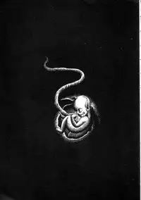 [Yazaki Tooru] Witch teacher Mayako [English][desudesu]