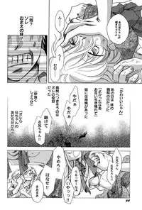 [Anthology] PetaFeti. 8 [Digital]