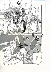 [Appleton] Fairy Paradise