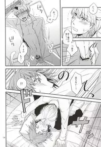 (C83) [Swallow Sky (Rihara)] CRAZY CAT LOVER (Persona 4)