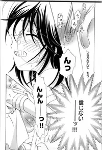 [Nagareboshi Hikaru] Sekai no Aikotoba wa Moe