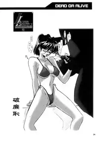 (C56) [UA Daisakusen (Harada Shoutarou)] Ruridou Gahou 9 (Dead Or Alive)