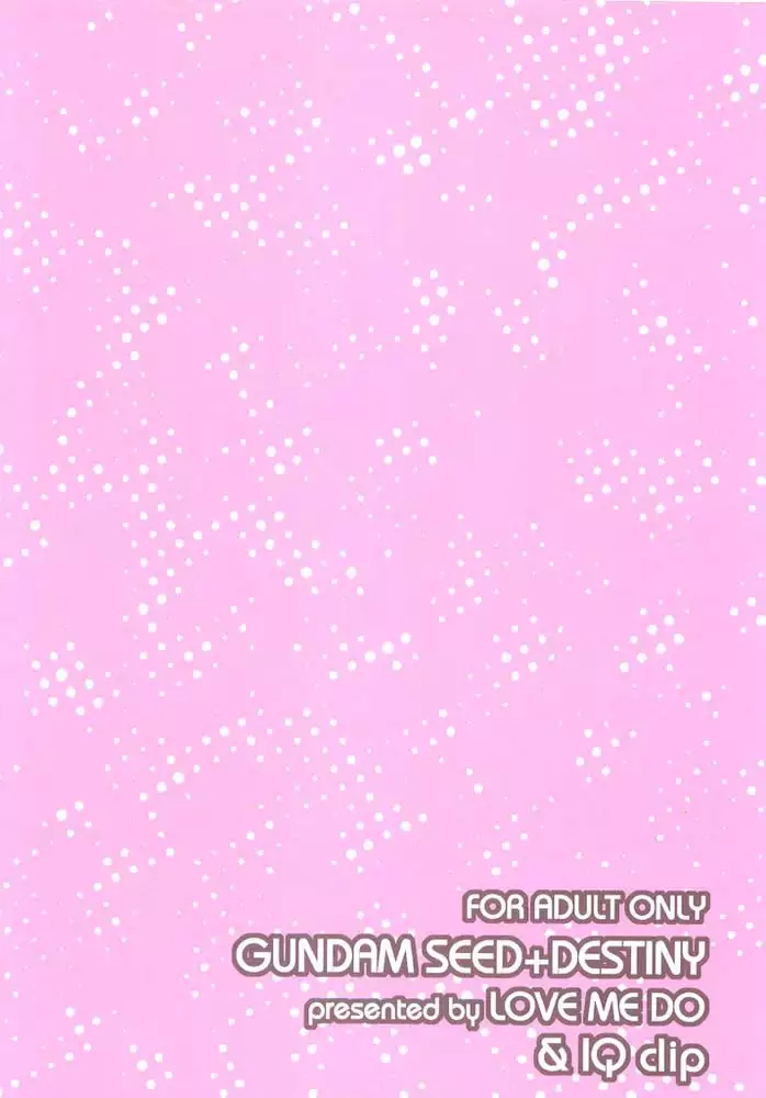 Gundam Seed - When You Wish Upon A Star