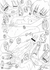 (C68) [Tadakage-dou (Saotome Ryuuichi)] Twintale Philosophy 2 (ToHeart2)