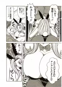 [Monota Rinu] Itoshi no Bunny Maid