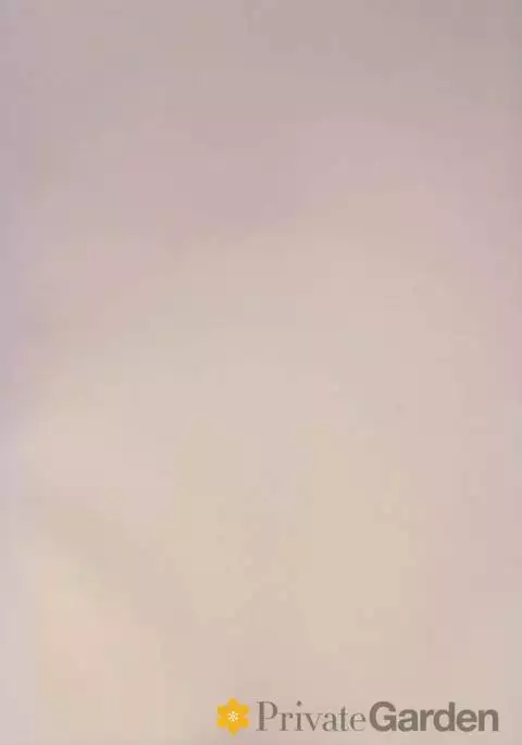 Illustrious Shabaora