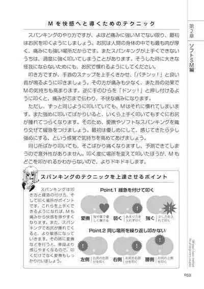 いますぐデキる 図説SMプレイマニュアル