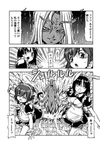 [Itoyoko] Mesu Neko - Maid Cats Story