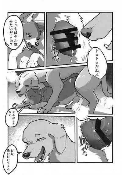 DOG.IN.CAGE The best in corn