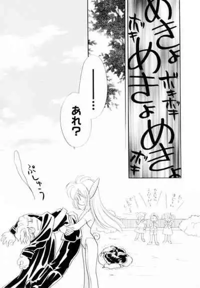 [Hikaru Nagareboshi] Seigi No Mikata Mo Raku Zya Nai