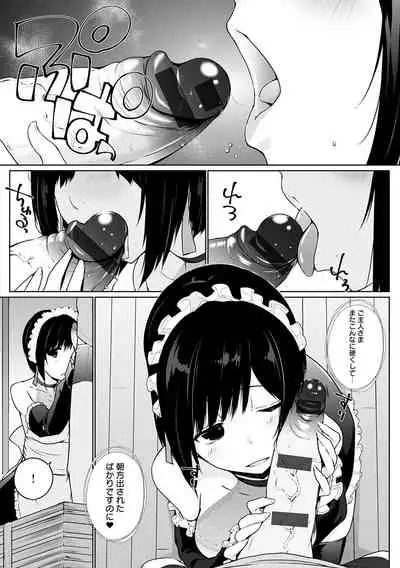 Houshi Shuzoku ga Yattekita!