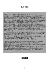 (C76) [Wolkenkratzer (bontenkarasu)] Decadence Soul (Soul Calibur) [English][SaHa]