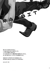 (C90) [Kyozoya (Kunoichi)] RABBIT (One Piece)