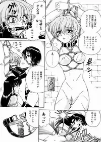 [Spark Utamaro] Seifuku Dai Seifuku