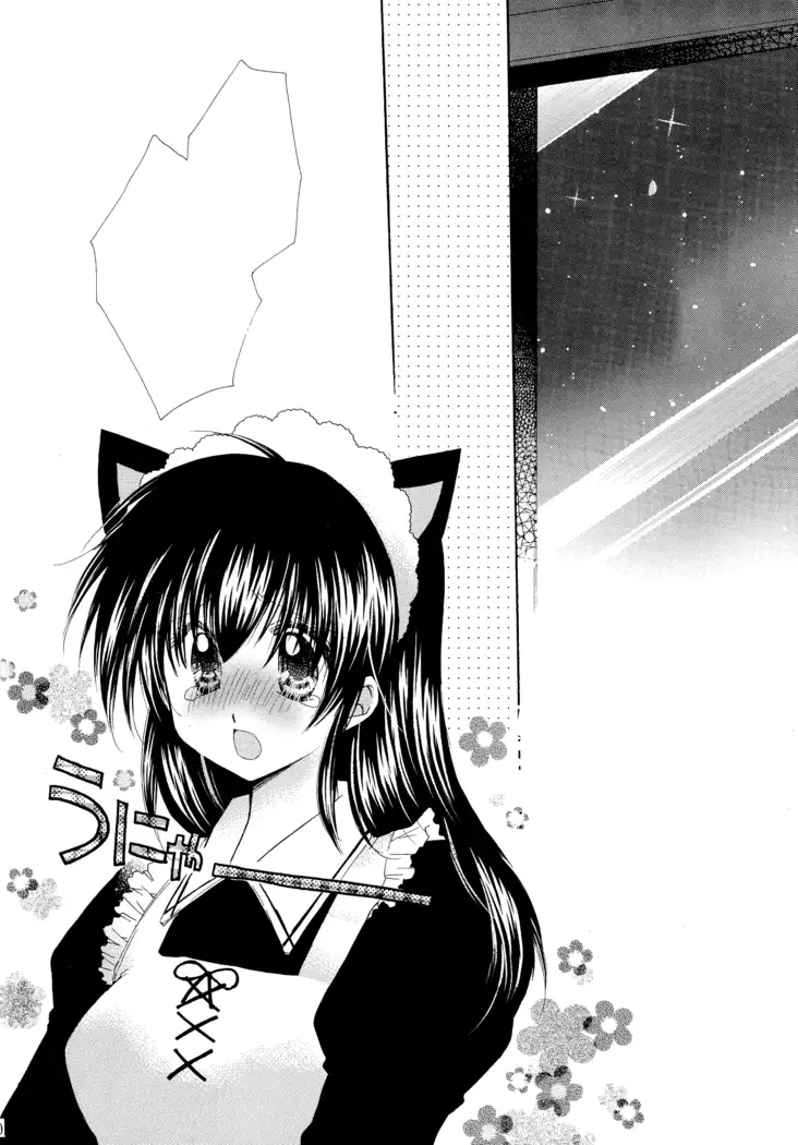 Tobikiri no Himitsu 3 <<Kanketsuhen>>