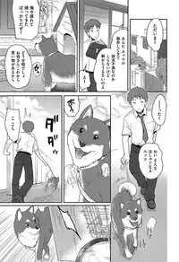 [Tohgarashi Hideyu] MGY