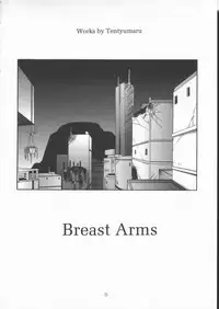 [Tenzan Factory] Breast Arms