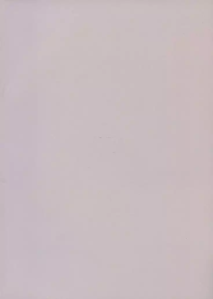 Astolfo to Yoru no Chaldea