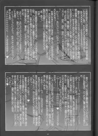 (C55) [Barricade (Nishizaki Byouya)] Aara-ISM (Slayers)