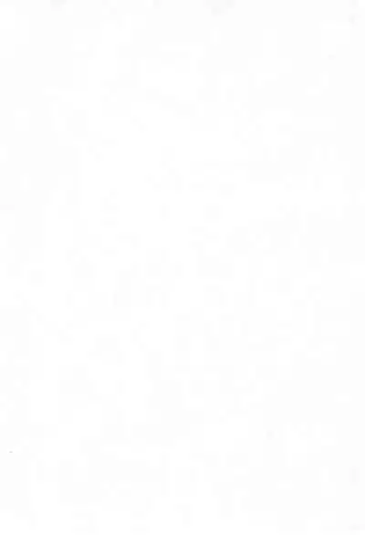 (C66) [Tenny Le Tai (Various)] Loli Neko HARD II