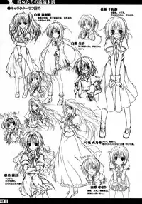 (C68) [StrayMoon (Miyama Zero)] Princess Brave! Jantaku no Kishi - Settei Gengashuu