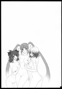 (C78) [A.P.YAMAMOH (Yamamoh)] Gi Juukei / Last Rose (Tales of Graces)