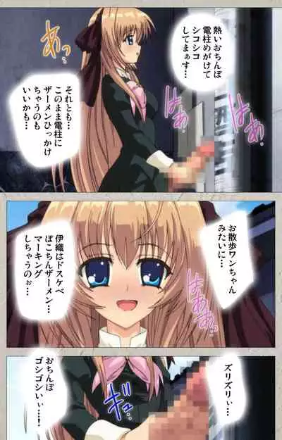 Asa Kara Zusshiri Milk Pot Kanzenban