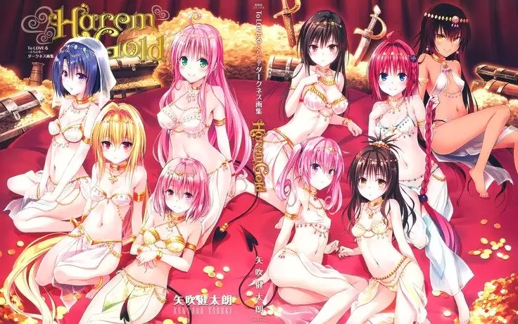 To Love-Ru -Trouble- Darkness Artbook Harem Gold