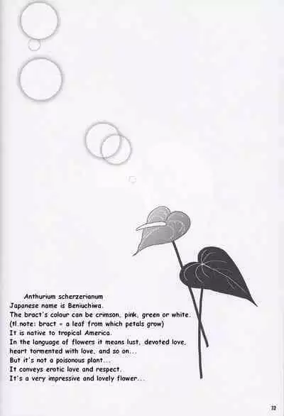 [Akuyaku Warai Sandankatsuyou (Ginmaru)] NOCTIFLOROUS (Batman) [English]