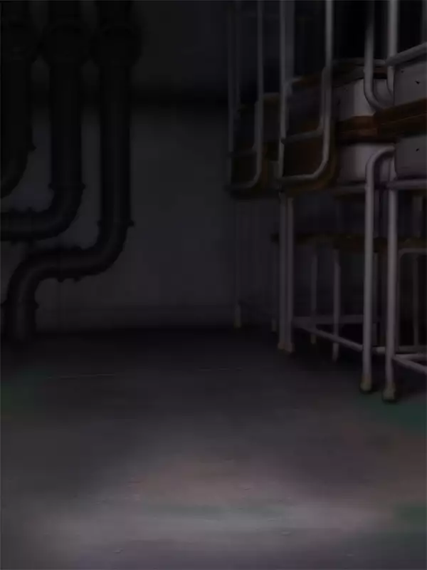 H.S.C. Illustration collection Vol.1&2 Renewal