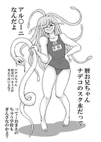 Honto wa Eroi Obakemonogatari